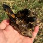 375g Natural smoky citrine quartz cluster crystal specimen healing JC3