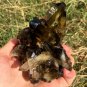 375g Natural smoky citrine quartz cluster crystal specimen healing JC3