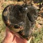 679g Natural dragon septarian geode quartz Heart  cluster crystal healing #ZH84