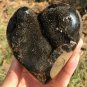 679g Natural dragon septarian geode quartz Heart  cluster crystal healing #ZH84