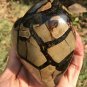 679g Natural dragon septarian geode quartz Heart  cluster crystal healing #ZH84