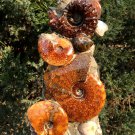 Large block with ammonites and other fossils.  300 x 130 x 110 mm - 3800 g