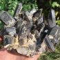 1146g Natural beautiful smoky black quartz cluster crystal specimen healing HJ9