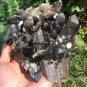 1146g Natural beautiful smoky black quartz cluster crystal specimen healing HJ9