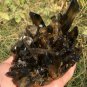 1119g Natural smoky black quartz cluster crystal specimen healing JQ12