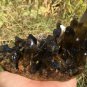 1119g Natural smoky black quartz cluster crystal specimen healing JQ12