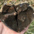 512g Natural dragon septarian geode quartz Heart  cluster crystal healing #ZH20