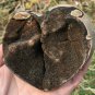 512g Natural dragon septarian geode quartz Heart cluster crystal healing #ZH20