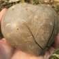 512g Natural dragon septarian geode quartz Heart cluster crystal healing #ZH20