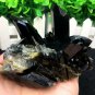 384g Natural beautiful smoky black quartz cluster crystal specimen healing