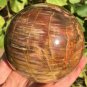 1355g Natural COLORFUL RAINBOW FANTASTIC Madagascar Petrified Wood ball - #MH6