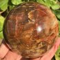 1355g Natural COLORFUL RAINBOW FANTASTIC Madagascar Petrified Wood ball - #MH6