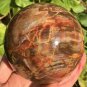 1355g Natural COLORFUL RAINBOW FANTASTIC Madagascar Petrified Wood ball - #MH6
