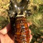 889g Natural Douvilleiceras Polished "Goat Horn" Fossil Ammonite crystal #DZ40
