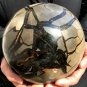 6950g Natural dragon septarian geode quartz Ball  cluster crystal healing