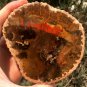 242g COLORFUL RAINBOW FANTASTIC Madagascar Petrified Wood Round Slab Bark #MH58