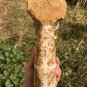 9.42lb HUGE White Pretty Ribbed Whole Ammonite Nautilus Fossil #DZ82