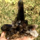 569g Natural smoky black  quartz cluster crystal specimen healing JC6