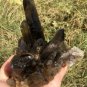 569g Natural smoky black quartz cluster crystal specimen healing JC6