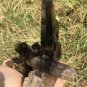 569g Natural smoky black quartz cluster crystal specimen healing JC6