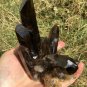 569g Natural smoky black quartz cluster crystal specimen healing JC6