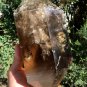 Rare double head Clear Rainbow Smoky Crystal Quartz Point/Clear Crystal Tower