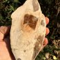 338g COLORFUL RAINBOW FANTASTIC Madagascar Petrified Wood Round Slab Bark #MHS9