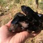 767g Natural smoky black quartz cluster crystal specimen healing JQ25