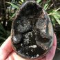 558g Natural dragon septarian geode quartz Egg cluster crystal healing #GB1