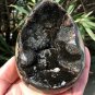 558g Natural dragon septarian geode quartz Egg cluster crystal healing #GB1