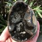558g Natural dragon septarian geode quartz Egg cluster crystal healing #GB1