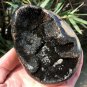 558g Natural dragon septarian geode quartz Egg cluster crystal healing #GB1