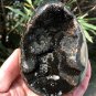 558g Natural dragon septarian geode quartz Egg cluster crystal healing #GB1