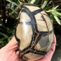 558g Natural dragon septarian geode quartz Egg cluster crystal healing #GB1