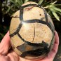 558g Natural dragon septarian geode quartz Egg cluster crystal healing #GB1