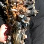 5000g Natural smoky black quartz cluster crystal specimen healing 400x190x130mm