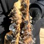 5000g Natural smoky black quartz cluster crystal specimen healing 400x190x130mm