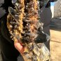 5000g Natural smoky black quartz cluster crystal specimen healing 400x190x130mm