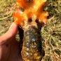 946g Natural Douvilleiceras Polished "Goat Horn" Fossil Ammonite crystal #DZ41