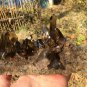 920g Natural beautiful smoky black quartz cluster crystal specimen healing JQ52