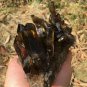 920g Natural beautiful smoky black quartz cluster crystal specimen healing JQ52