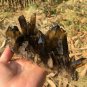 920g Natural beautiful smoky black quartz cluster crystal specimen healing JQ52
