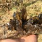 920g Natural beautiful smoky black quartz cluster crystal specimen healing JQ52