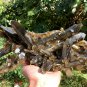 1836g Natural smoky citrine quartz cluster crystal specimen healing HJ3