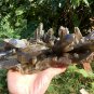 1836g Natural smoky citrine quartz cluster crystal specimen healing HJ3