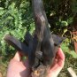 922g Natural beautiful smoky black quartz cluster crystal specimen healing HJ4