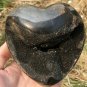 986g Natural dragon septarian geode quartz Heart cluster crystal healing #ZH21
