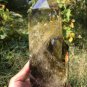 TOP!! Large Natural transparent double-headed citrine crystal quartz tower 1039g