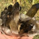 1061g Natural smoky citrine quartz cluster crystal specimen healing JQ19