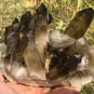1061g Natural smoky citrine quartz cluster crystal specimen healing JQ19